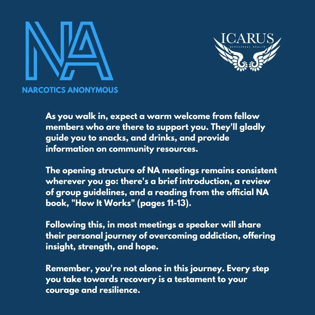 NA Meeting format and intro walk through infographic
