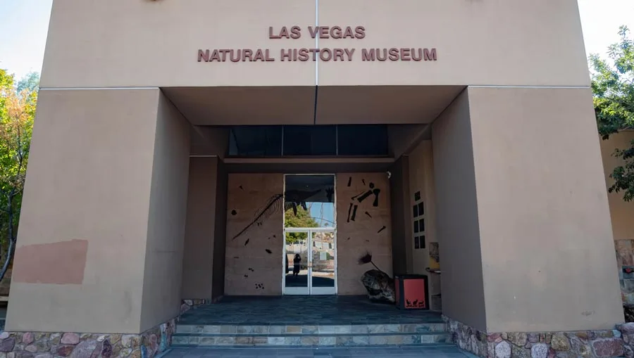 Las Vegas Natural History Museum