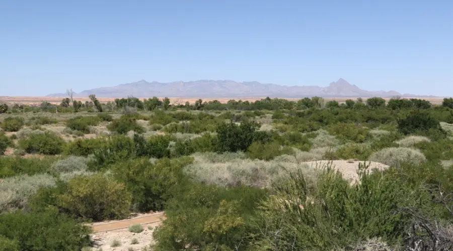 Sober Activities for Residents of Moapa