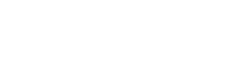 Nevada Department of Public Behavioral Health logo